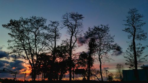 Silhouette of bare trees against sky at sunset