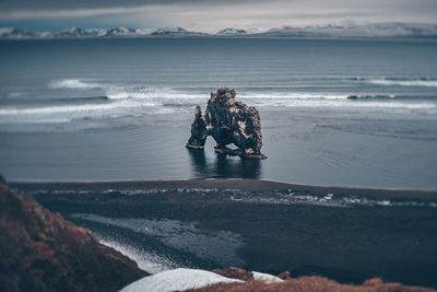 High angle view of driftwood at beach