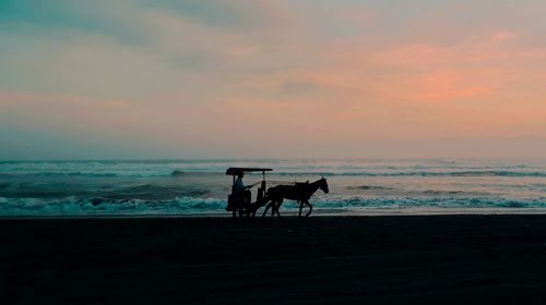 Silhouette horses on beach against sky during sunset