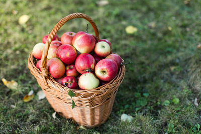 Close-up of apples in a basket