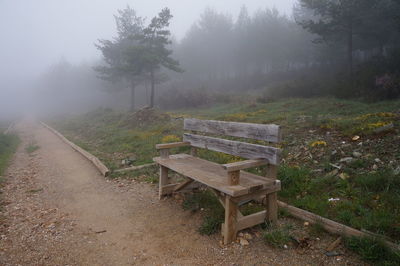 Empty bench on field by trees