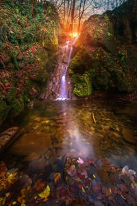 Scenic view of waterfall in forest during autumn