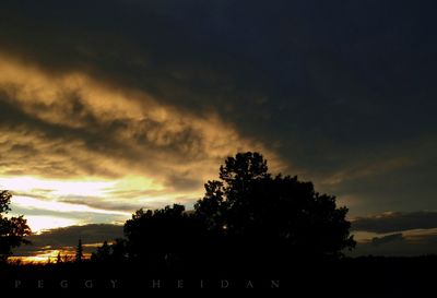 Silhouette of trees against cloudy sky