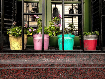 Potted plants on the wall