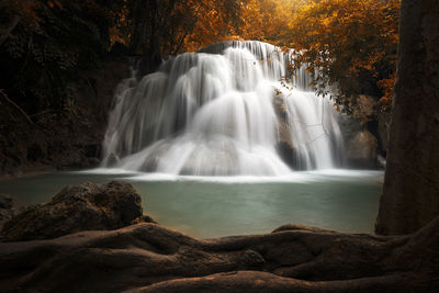 Scenic view of waterfall in forest