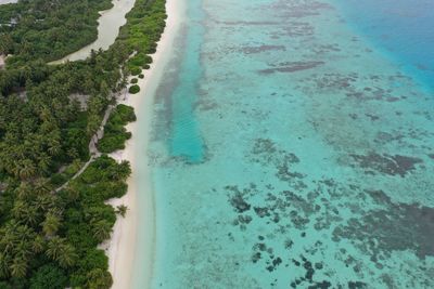 High angle view of swimming pool at beach