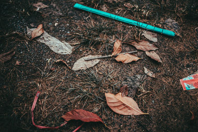 High angle view of dry leaves on field