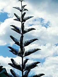 Low angle view of palm tree against sky