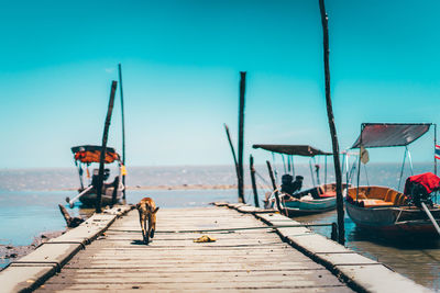 People on pier at beach against sky