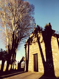 Bare trees against sky