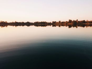 Reflection of trees in calm lake