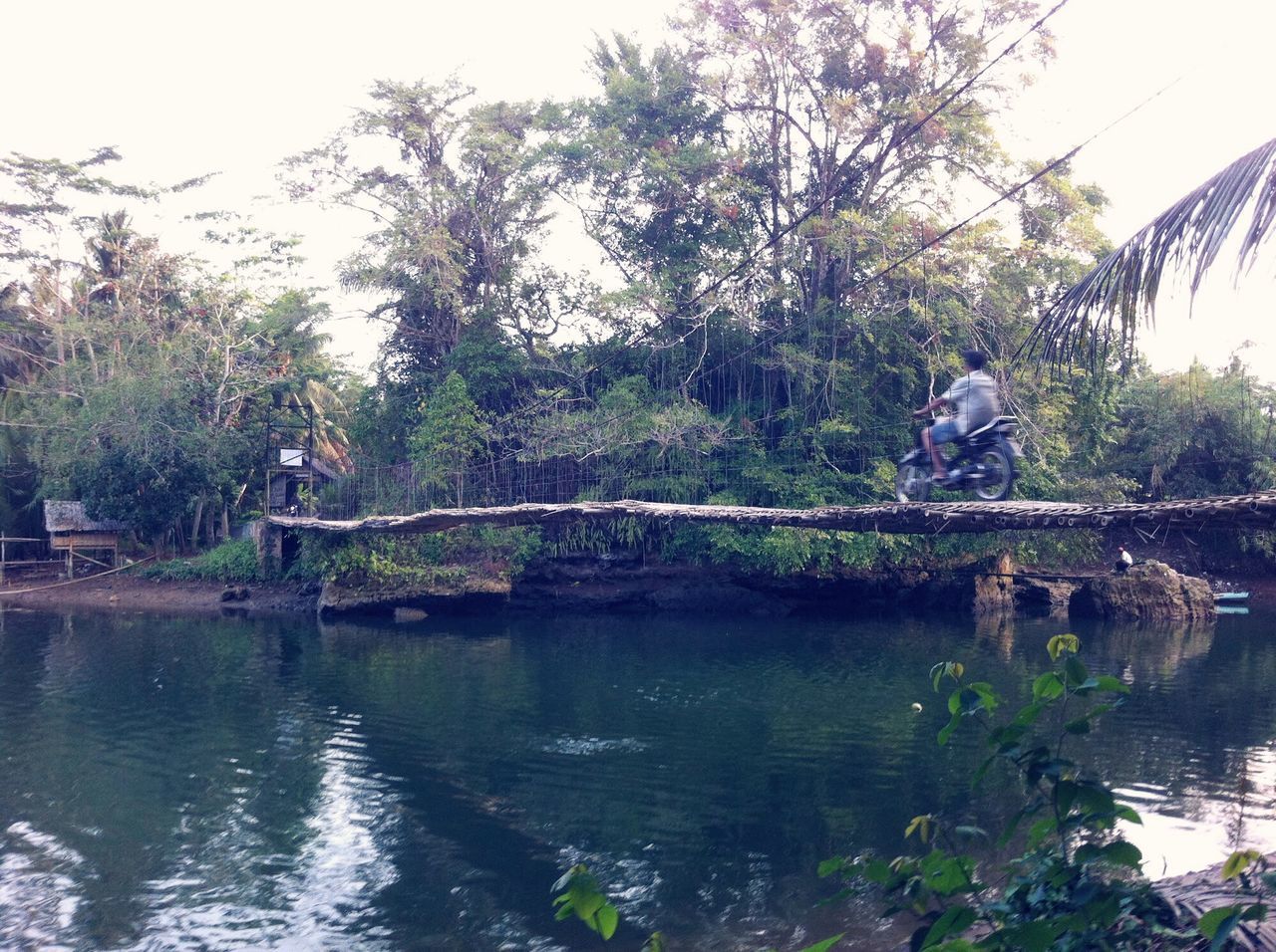 MAN SITTING ON LAKE AGAINST TREES