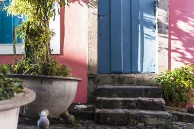 Potted plants outside building