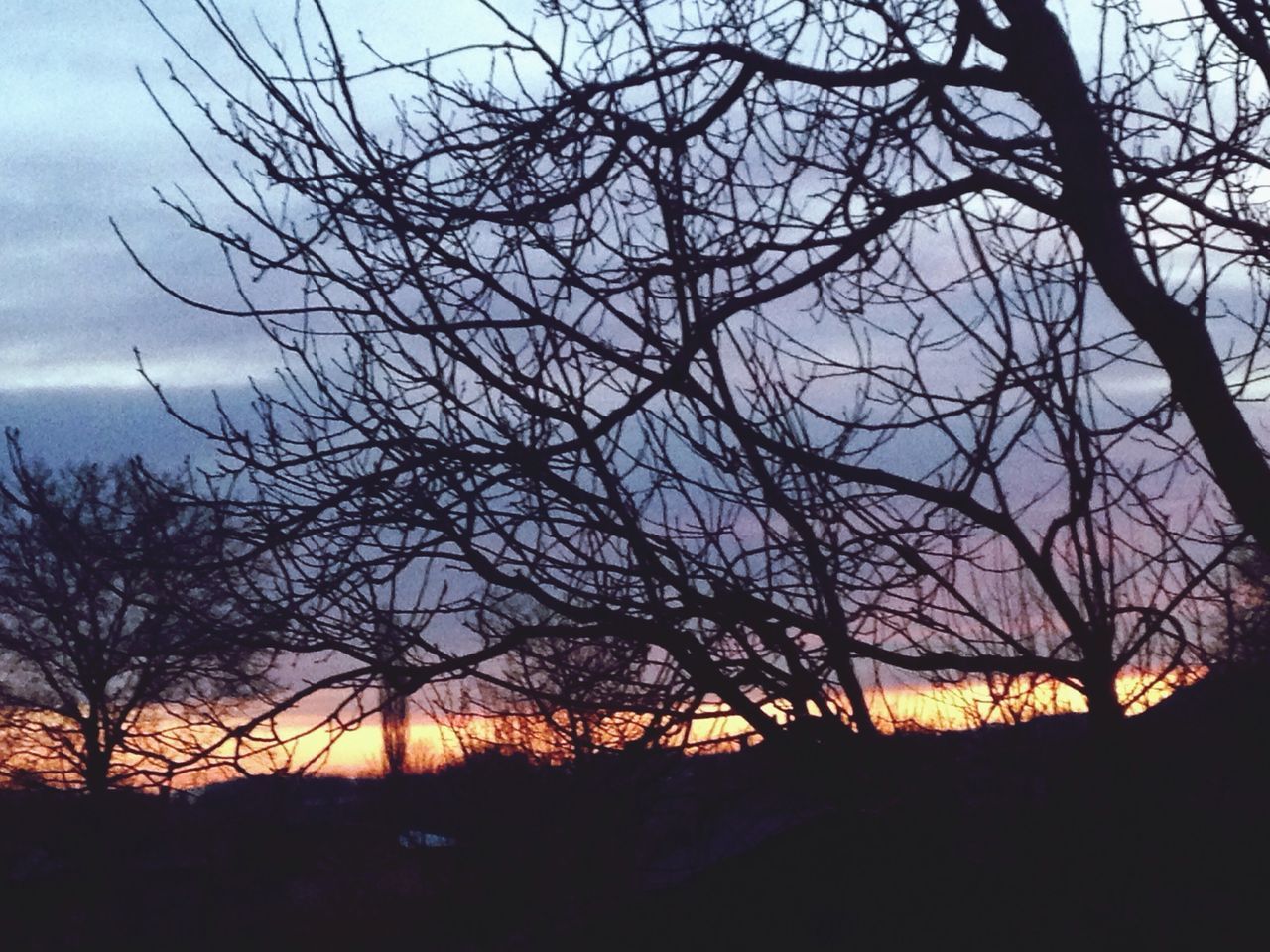 bare tree, sunset, silhouette, tree, tranquility, tranquil scene, branch, sky, scenics, beauty in nature, nature, landscape, orange color, idyllic, cloud - sky, sun, non-urban scene, field, outdoors, cloud