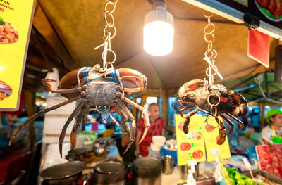 Illuminated lanterns hanging in market for sale