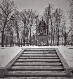 Bare trees against sky