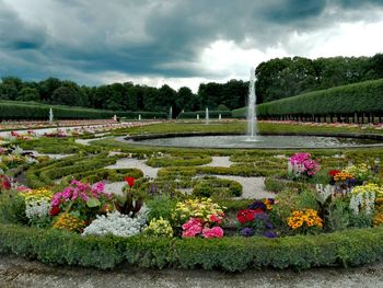 View of flowers growing in park against cloudy sky