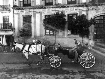 Cars parked in front of building