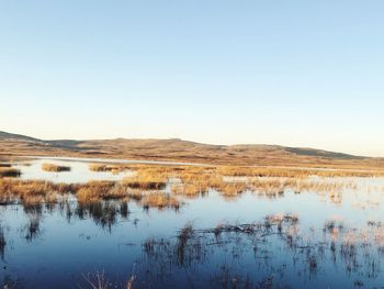 Scenic view of lake against clear sky