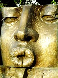 Close-up of statue