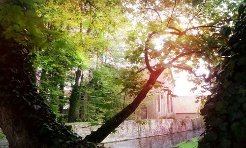 Built structure with trees in background