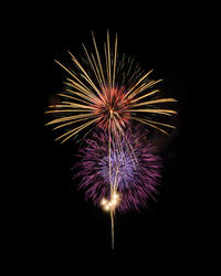 Low angle view of firework display against sky at night