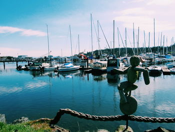 Boats in harbor