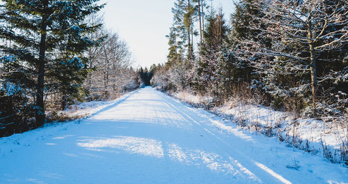 Road amidst trees against sky