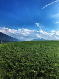 Scenic view of field against sky