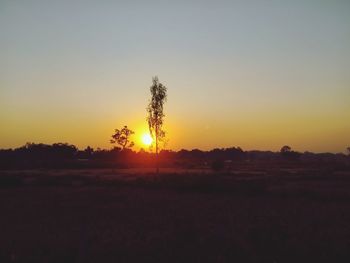 Silhouette trees on field against sky during sunset