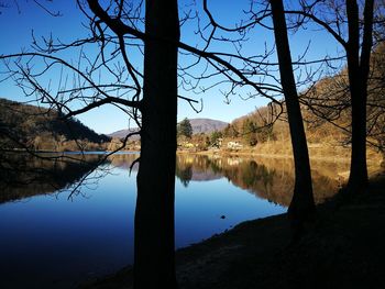Reflection of trees in lake against sky