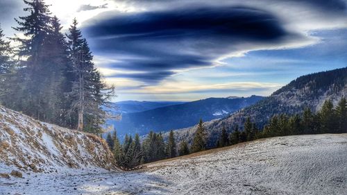 Scenic view of landscape against sky