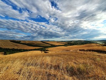 Scenic view of field against sky