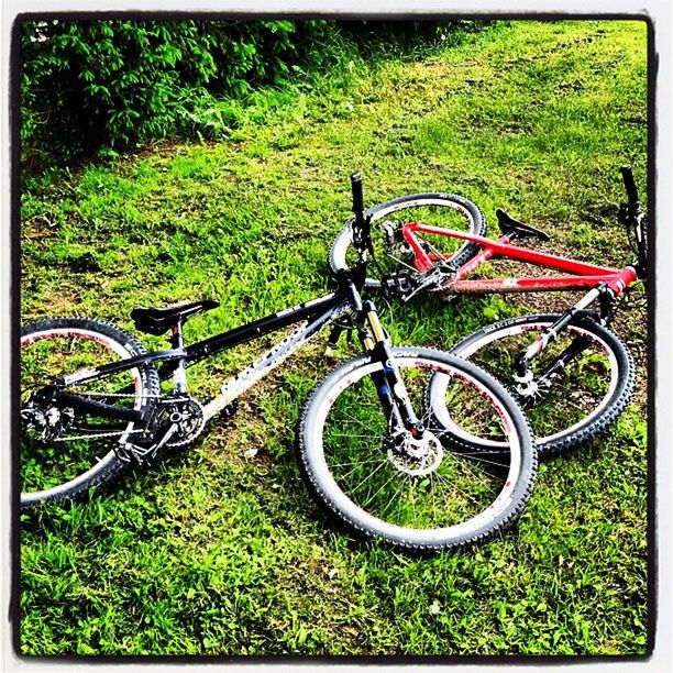 bicycle, transportation, transfer print, mode of transport, land vehicle, grass, auto post production filter, wheel, parked, stationary, parking, field, metal, growth, no people, high angle view, day, green color, outdoors, plant