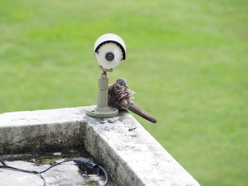 Close-up of faucet against plants in park