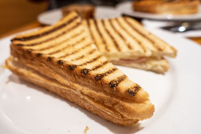 Close-up of toasted sandwich on a plate