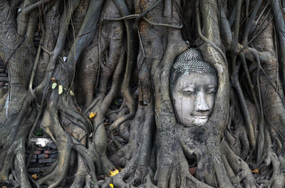 Statue of tree in temple