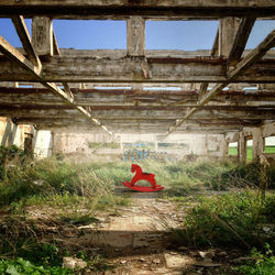 Rocking horse in abandoned building