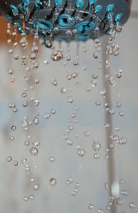 Detail shot of water drops