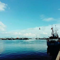 Boats in calm sea against blue sky