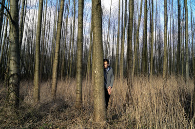 Trees in forest