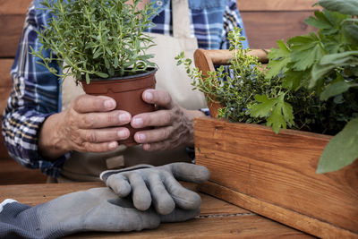 Midsection of man holding potted plant on table