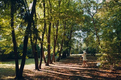 Man walking amidst trees in forest