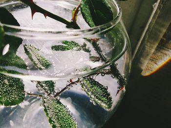 Close-up of drink on glass