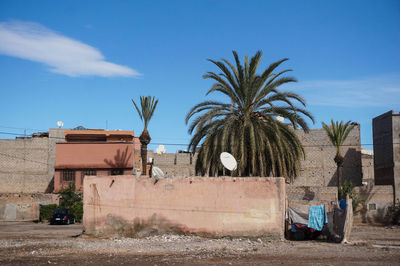 Palm trees and building against blue sky