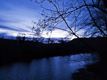 Low angle view of silhouette bare tree against sky