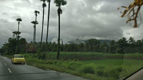 Scenic view of farm against sky