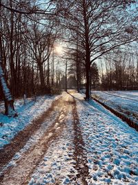 Snow covered road amidst trees during winter