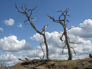 Low angle view of bare tree against sky