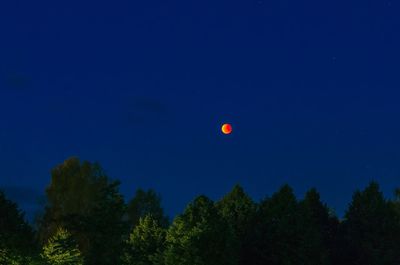 Low angle view of trees against clear sky